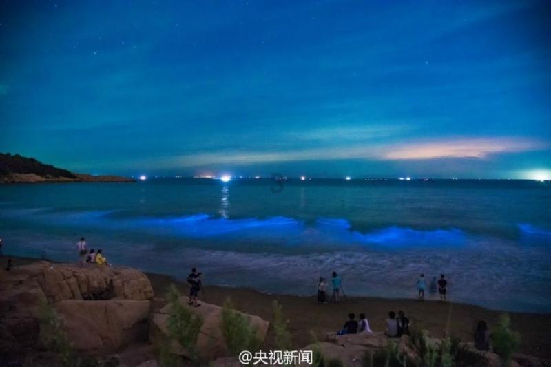金钱=爱情吗