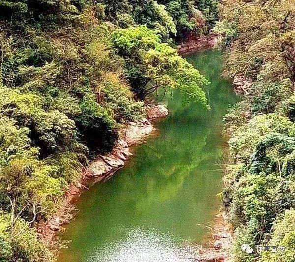 救援蒙克